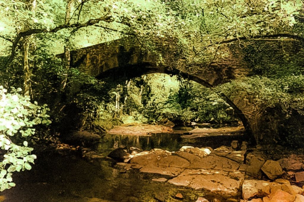 FB_IMG_1632148425478 (2)_1024x682